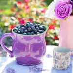 Wellhealthorganic.com:Blueberry-Brain-Boosting-Benefits