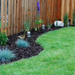 Fence Line Landscaping